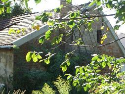 ak04_2006_1k_www_alt-karow_de